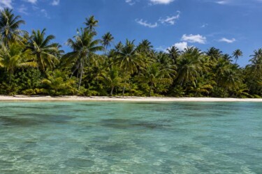 Playa Palmilla - Excursión a Isla Saona